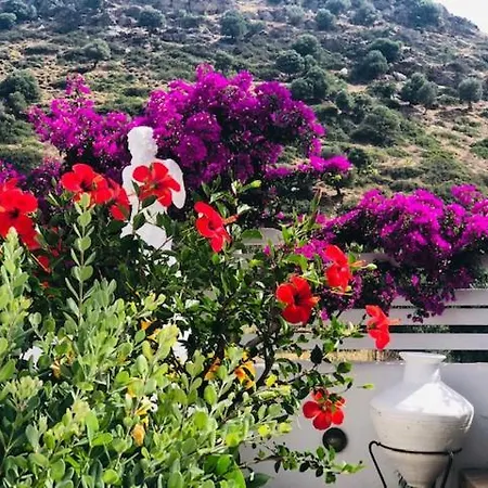 Apartment La Bastide *